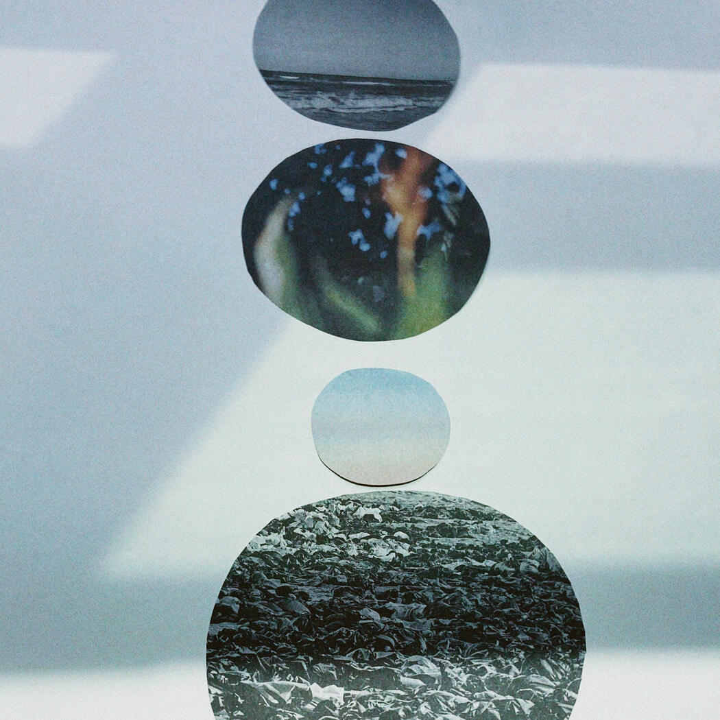 Cyclical Landscapes Detail Shot, 2025